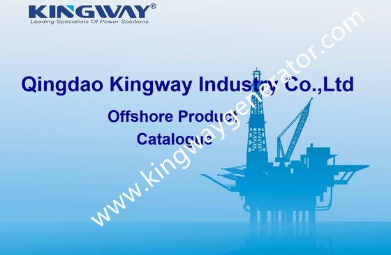 Per ingegneria offshore che spedisce i contenitori offshore di DNV 2.7-1 per i saloni