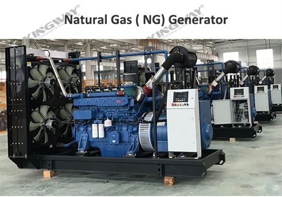Contenitore generatore tipo CE omologato Generatore a gas naturale silenzioso alimentato a gas naturale elettrico Genset