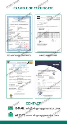 Canopy di piattaforma offshore 25kva 400v 50hz 3 fase 4 filo a prova di esplosione motore diesel ATEX certificato zona 2 generatore offshore