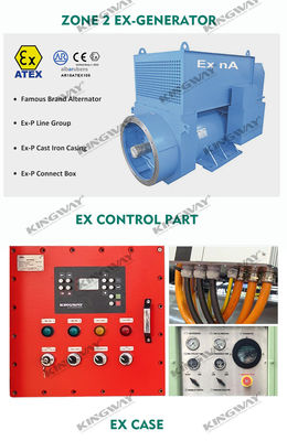 Piattaforma offshore ATEX Zona 2 32kw 40kva zona1 set di generatori diesel a prova di esplosione DNVGL 2.7-1 telaio di sollevamento