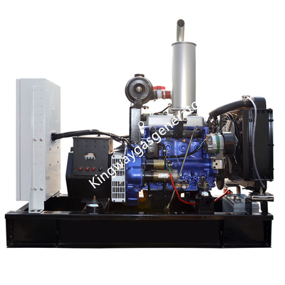 Gruppo elettrogeno doppio silenzioso Cummins Engine del diesel del combustibile di 20KW 25KVA e del biogas