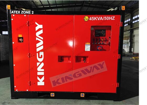 ATEX Zona 2 Set di generatori marini a prova di esplosione da 100 kVA certificati con contenitore offshore DNV 2.7-1